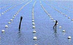 水产养殖水质的影响因素及检测方法